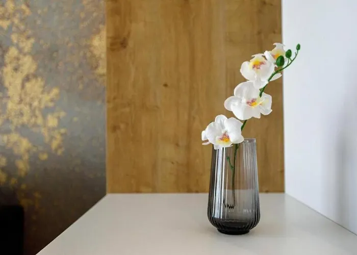 Golden - Cozy Studio- Odra River&ksiecia Witolda アパート